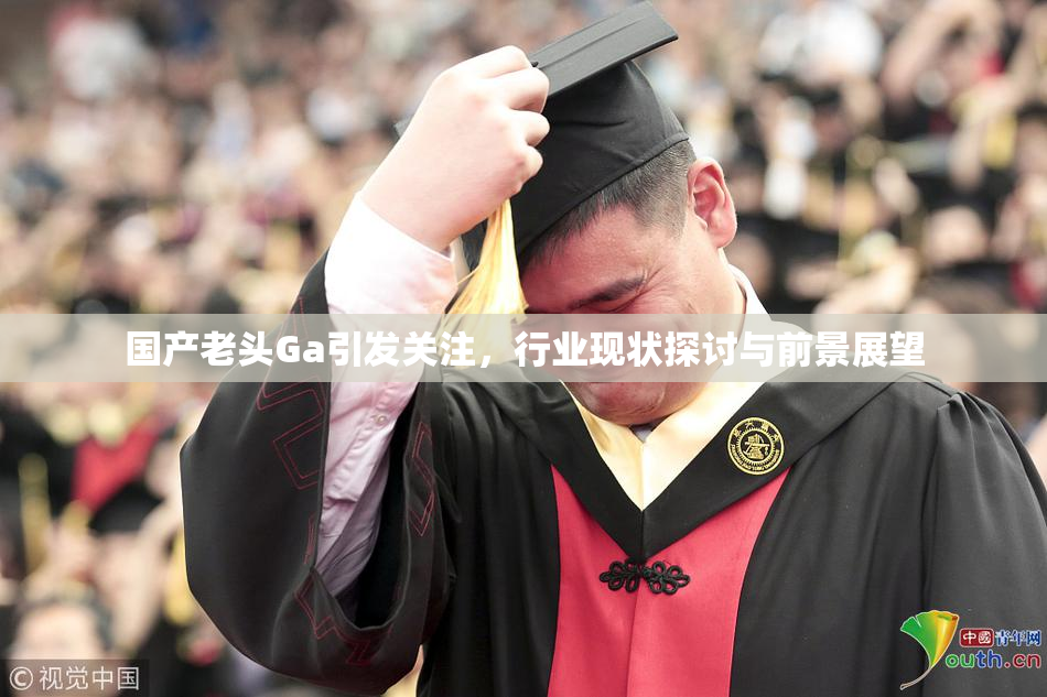 国产老头Ga引发关注，行业现状探讨与前景展望