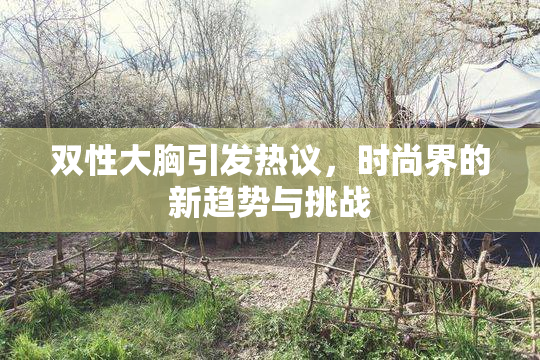 双性大胸引发热议，时尚界的新趋势与挑战
