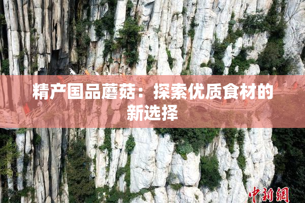 精产国品蘑菇：探索优质食材的新选择