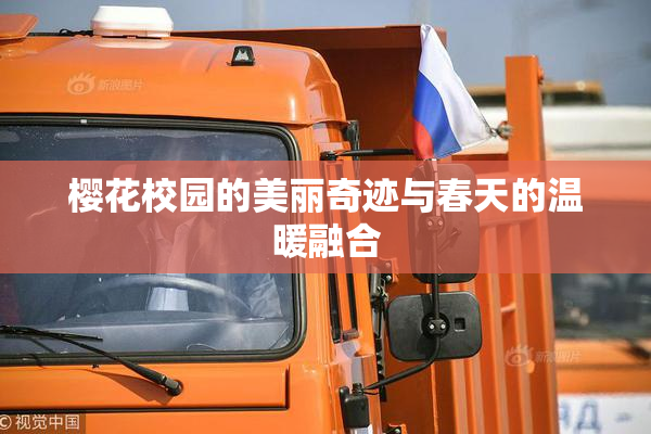 樱花校园的美丽奇迹与春天的温暖融合