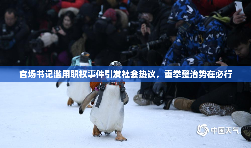 官场书记滥用职权事件引发社会热议，重拳整治势在必行