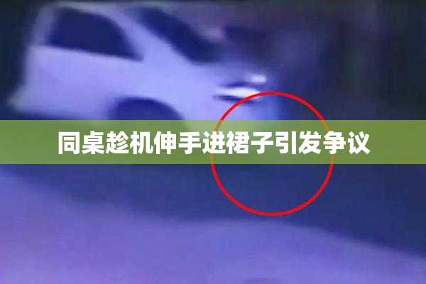 同桌趁机伸手进裙子引发争议