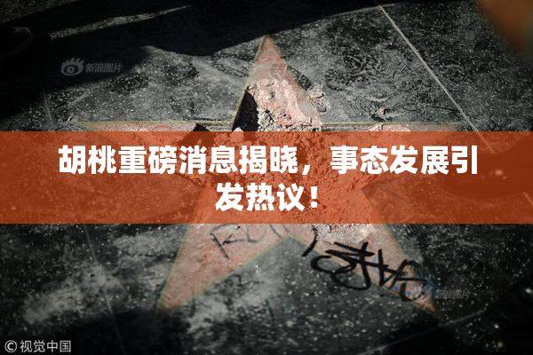 胡桃重磅消息揭晓，事态发展引发热议！