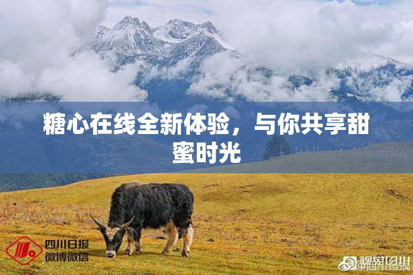糖心在线全新体验，与你共享甜蜜时光