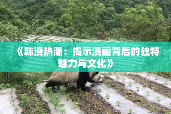 《韩漫热潮：揭示漫画背后的独特魅力与文化》