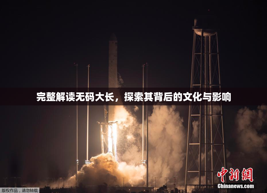 完整解读无码大长，探索其背后的文化与影响