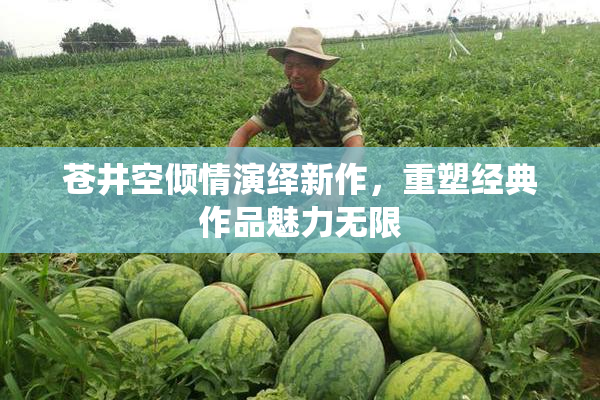 苍井空倾情演绎新作，重塑经典作品魅力无限