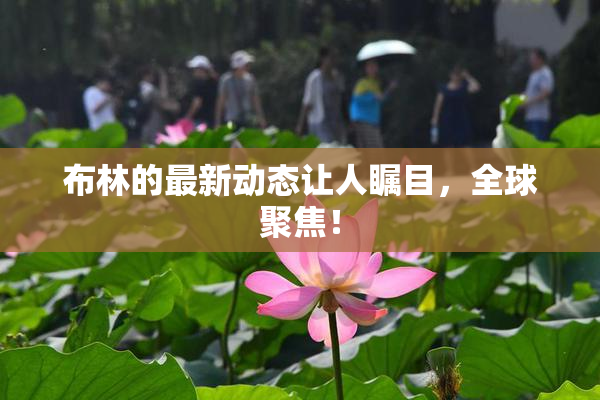 布林的最新动态让人瞩目，全球聚焦！