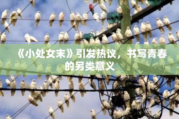 《小处女末》引发热议，书写青春的另类意义