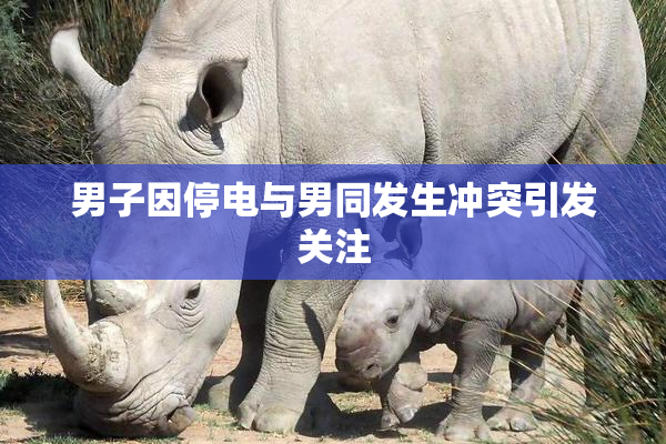 男子因停电与男同发生冲突引发关注