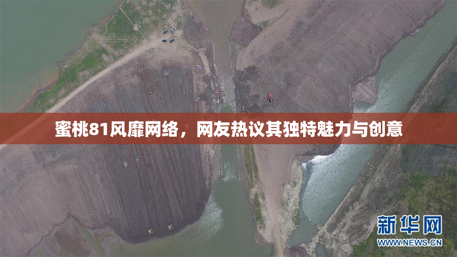 蜜桃81风靡网络，网友热议其独特魅力与创意