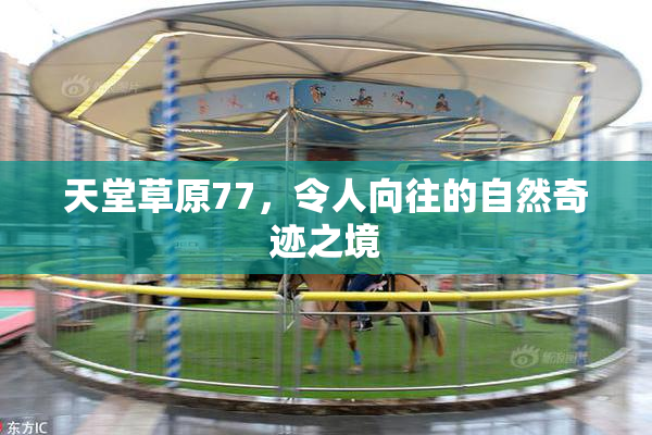 天堂草原77，令人向往的自然奇迹之境