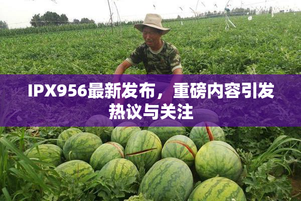 IPX956最新发布，重磅内容引发热议与关注
