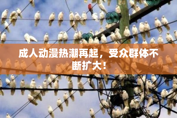 成人动漫热潮再起，受众群体不断扩大！