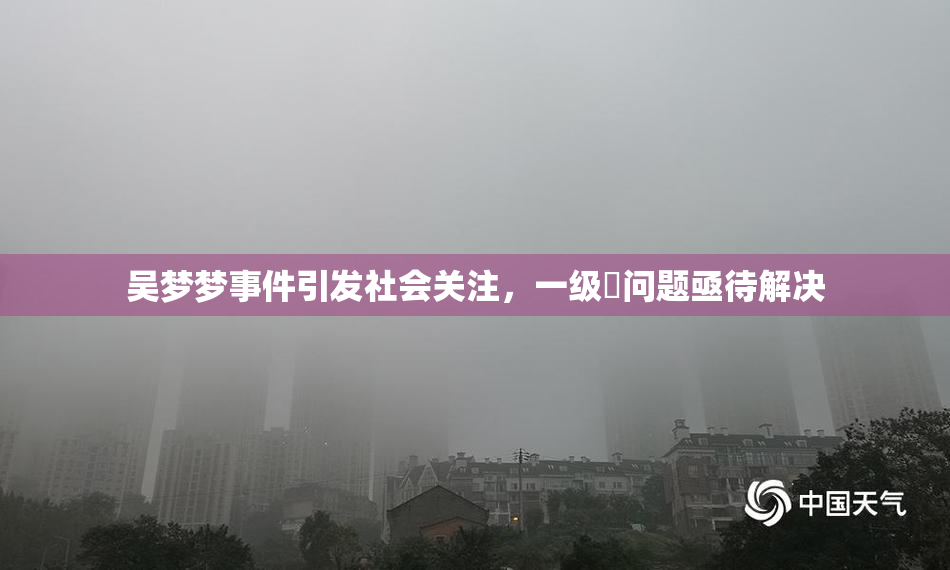 吴梦梦事件引发社会关注，一级婬问题亟待解决