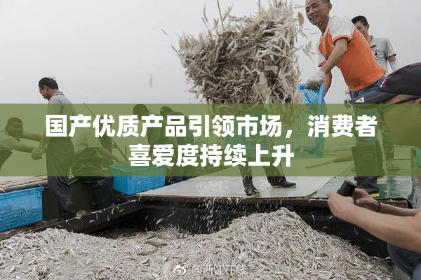 国产优质产品引领市场，消费者喜爱度持续上升