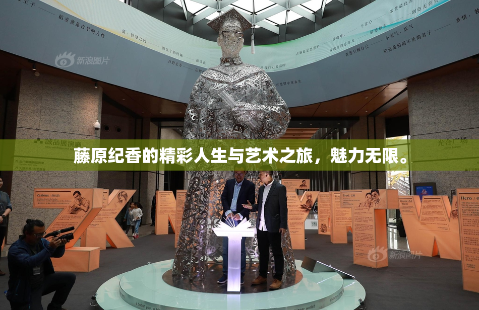 藤原纪香的精彩人生与艺术之旅，魅力无限。