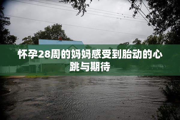 怀孕28周的妈妈感受到胎动的心跳与期待