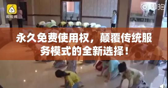 永久免费使用权，颠覆传统服务模式的全新选择！