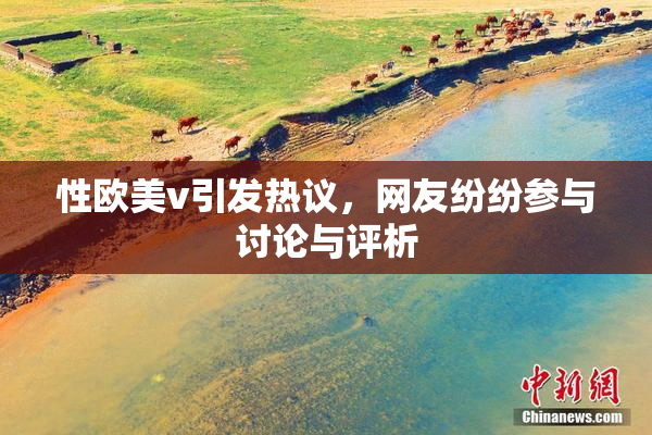 性欧美v引发热议，网友纷纷参与讨论与评析