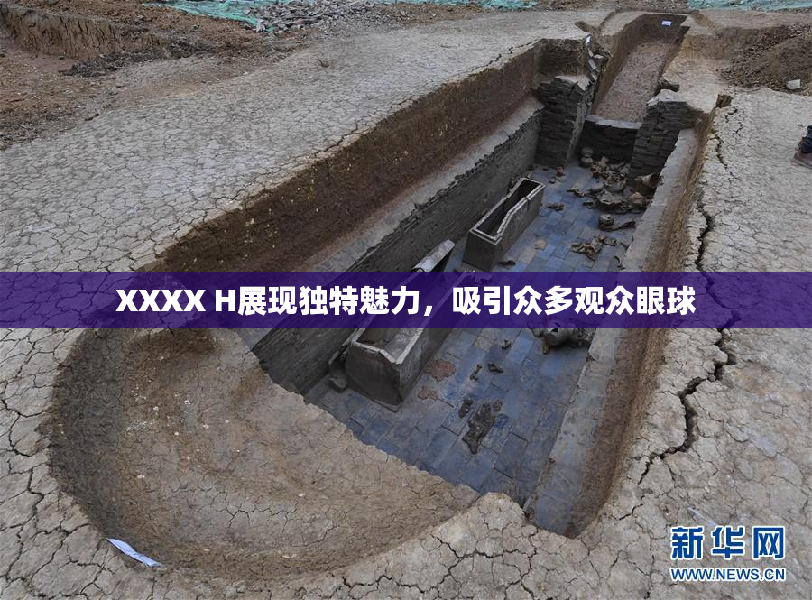 XXXX H展现独特魅力，吸引众多观众眼球