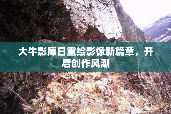 大牛影库日重绘影像新篇章，开启创作风潮