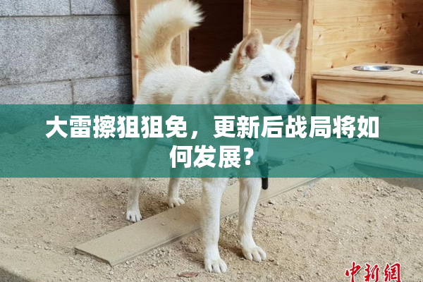 大雷擦狙狙免，更新后战局将如何发展？