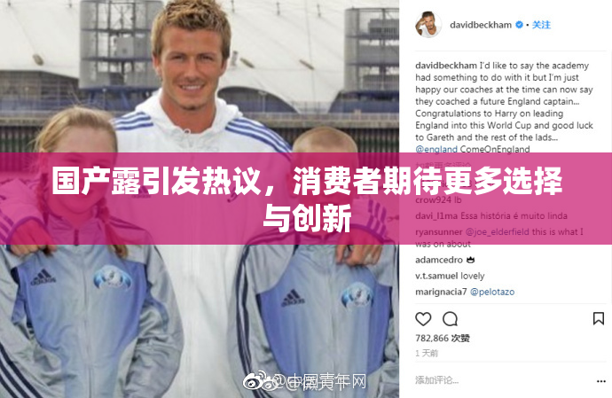 国产露引发热议，消费者期待更多选择与创新