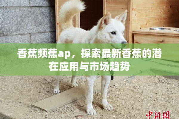 香蕉频蕉ap，探索最新香蕉的潜在应用与市场趋势
