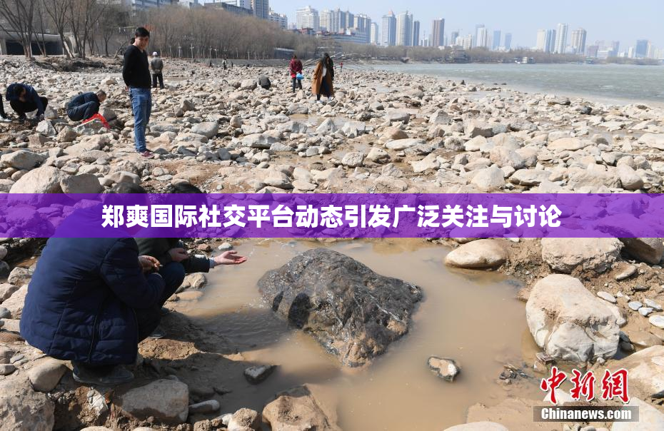 郑爽国际社交平台动态引发广泛关注与讨论