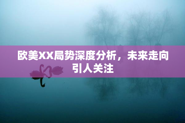 欧美XX局势深度分析，未来走向引人关注
