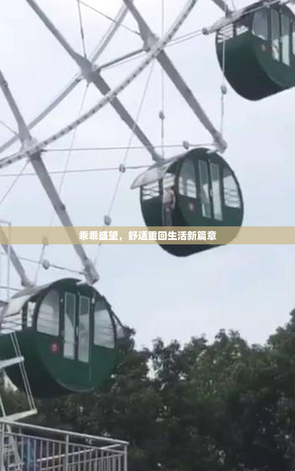 乖乖盛望，舒适重回生活新篇章