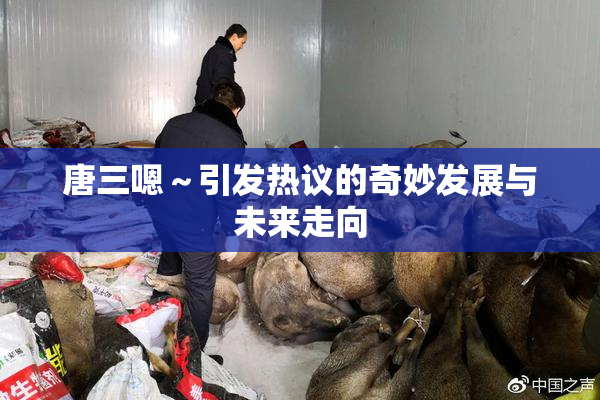 唐三嗯～引发热议的奇妙发展与未来走向