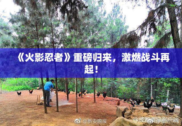 《火影忍者》重磅归来，激燃战斗再起！