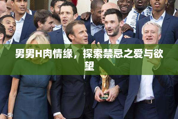 男男H肉情缘，探索禁忌之爱与欲望
