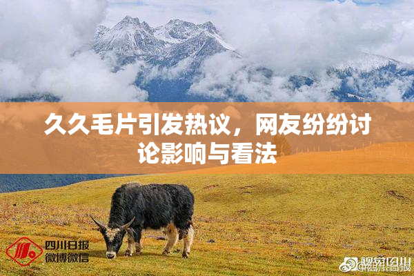 久久毛片引发热议，网友纷纷讨论影响与看法