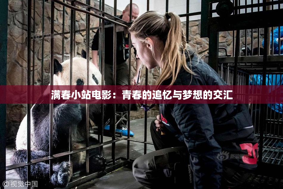 满春小站电影：青春的追忆与梦想的交汇