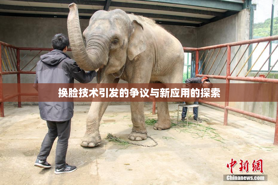 换脸技术引发的争议与新应用的探索