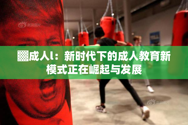▓成人l：新时代下的成人教育新模式正在崛起与发展