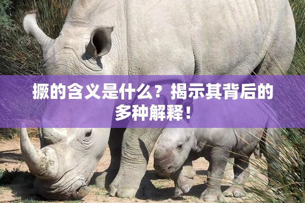 撅的含义是什么？揭示其背后的多种解释！