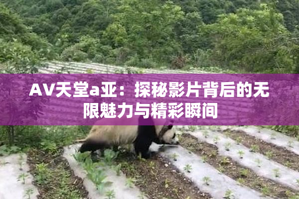 AV天堂a亚：探秘影片背后的无限魅力与精彩瞬间
