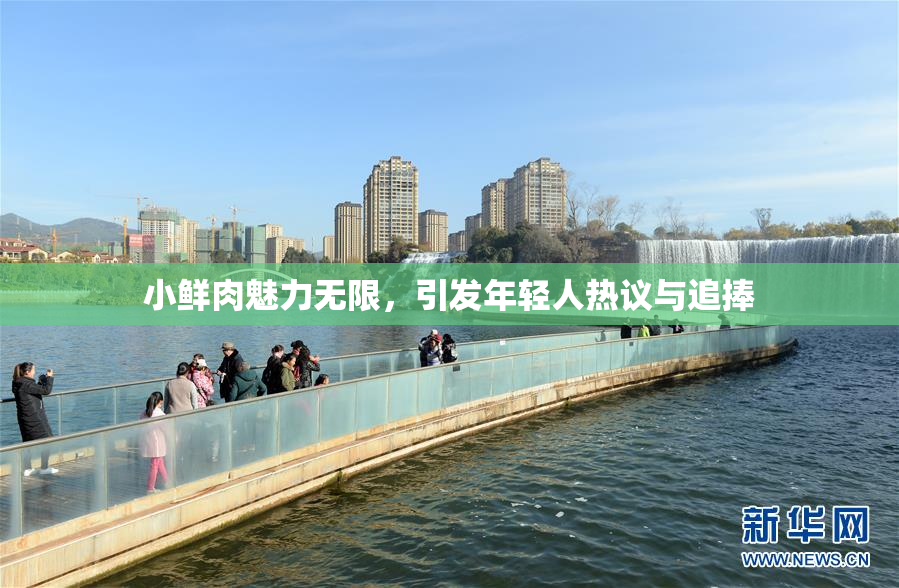 小鲜肉魅力无限，引发年轻人热议与追捧