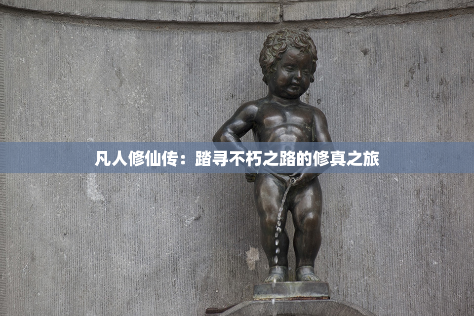 凡人修仙传：踏寻不朽之路的修真之旅