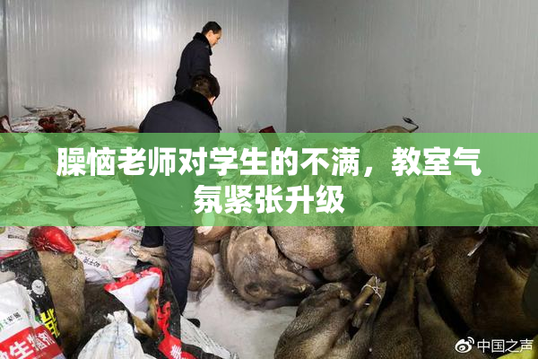 臊恼老师对学生的不满，教室气氛紧张升级