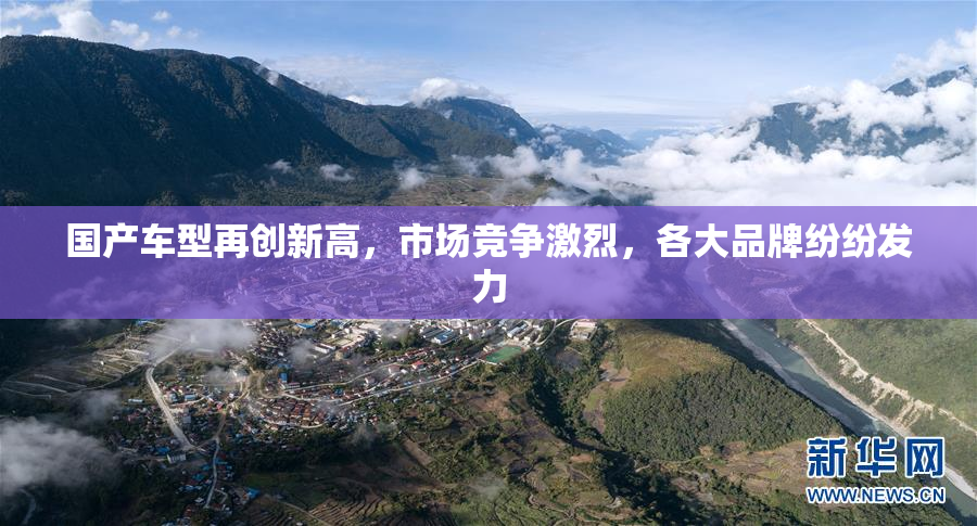 国产车型再创新高，市场竞争激烈，各大品牌纷纷发力