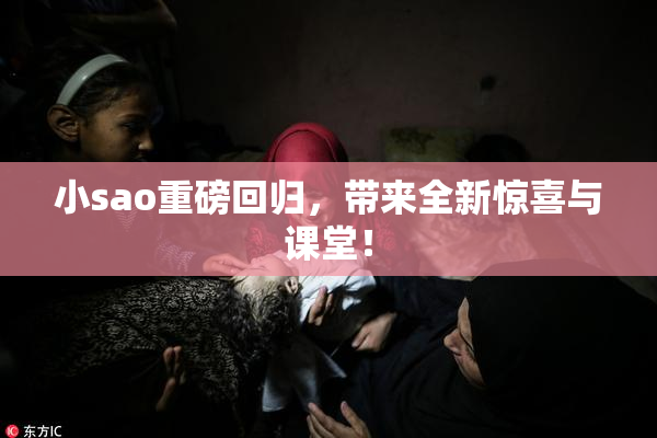 小sao重磅回归，带来全新惊喜与课堂！