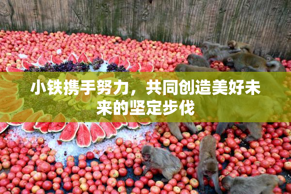 小铁携手努力，共同创造美好未来的坚定步伐