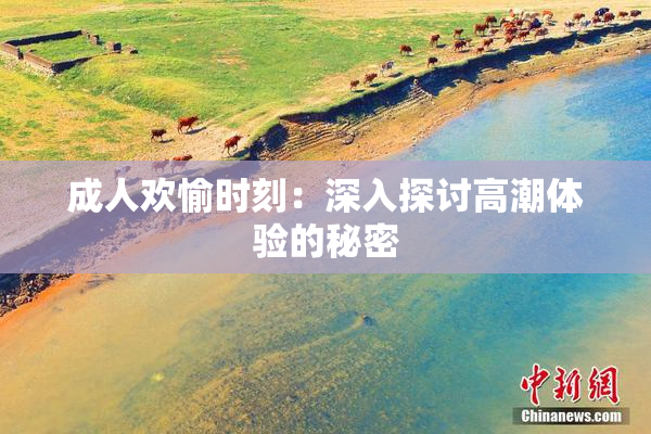 成人欢愉时刻：深入探讨高潮体验的秘密