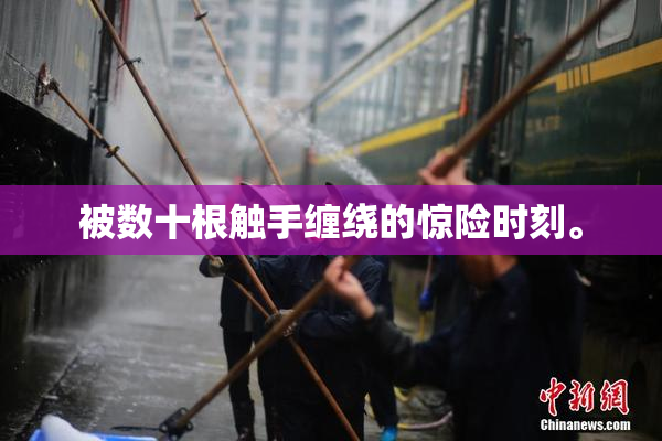 被数十根触手缠绕的惊险时刻。