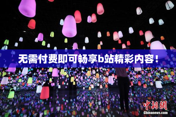 无需付费即可畅享b站精彩内容！